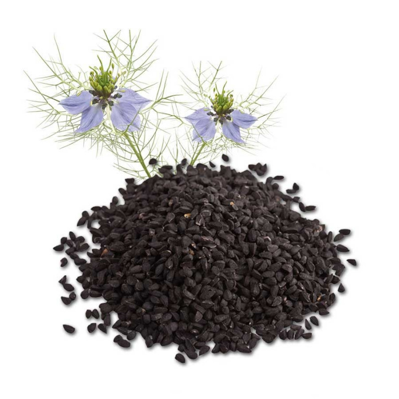 Graines de Nigelle - Téranga d'Afrique